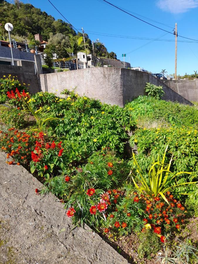 São Roque do Faial Panoramic Ocean View Houseヴィラ エクステリア 写真